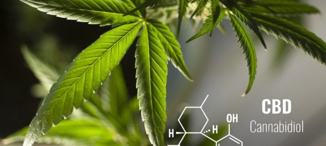 Varva ner och lindra symtom med CBD Varva ner och lindra symtom med CBD