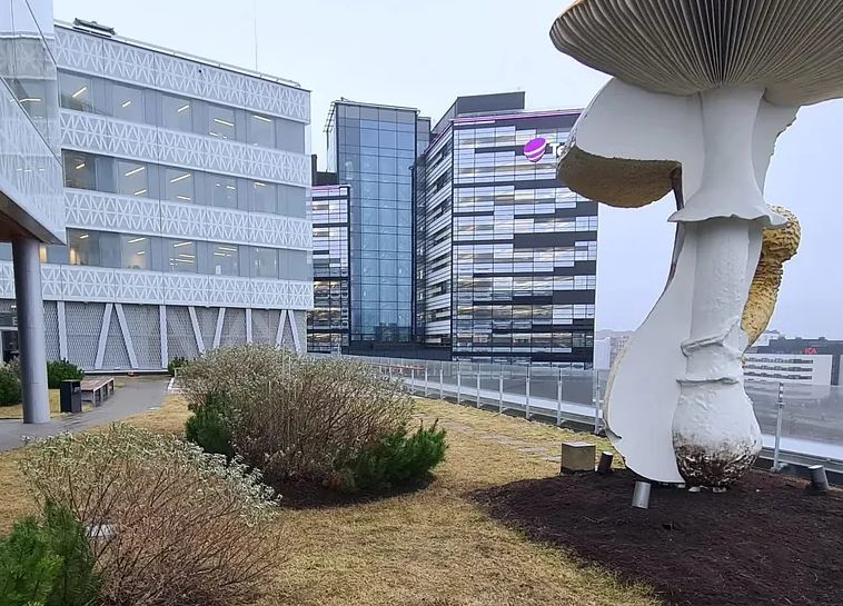 Trädgårdsskötsel i vällingby  så skapar man hållbara och vackra gårdar året runt