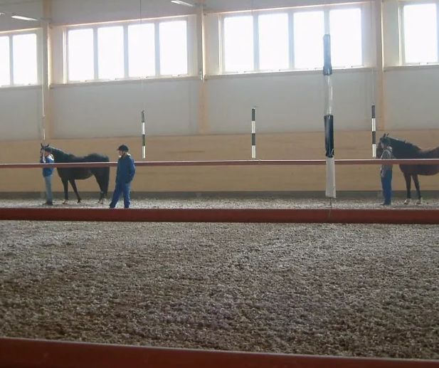 Belysning ridhus  trygghet, funktion och bättre ridupplevelse