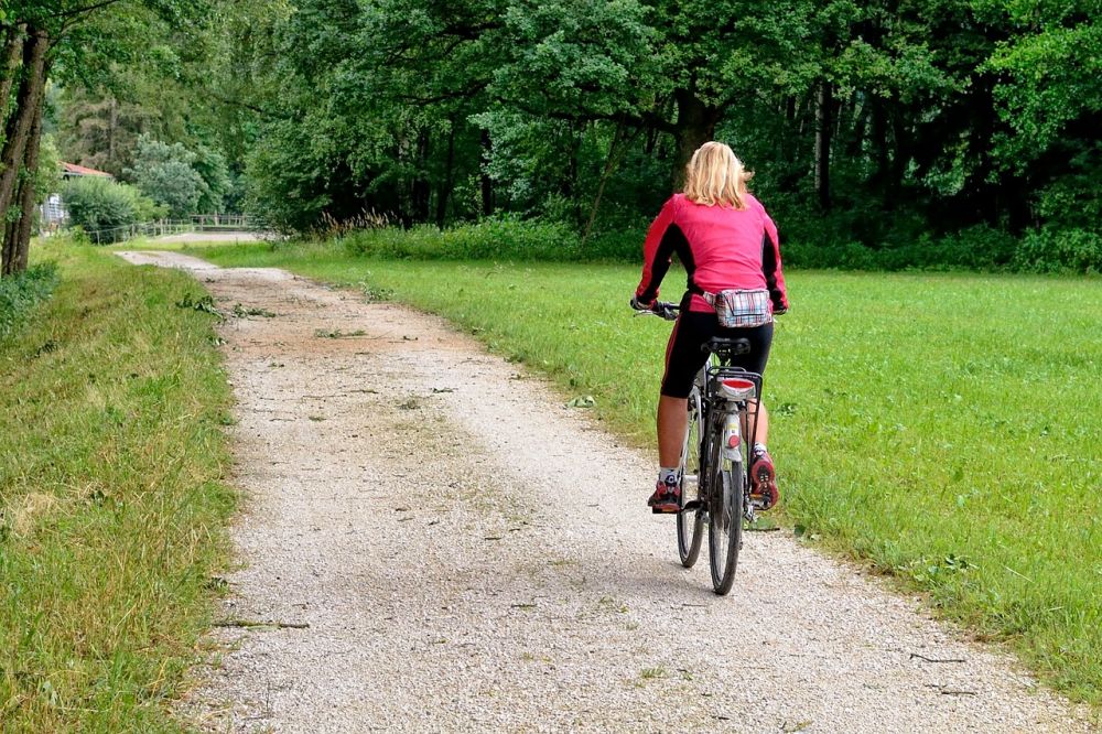 Cykeltur på gotland  natur, hav och historia på två hjul